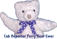 Cub Reporter Perry Bear Ewer