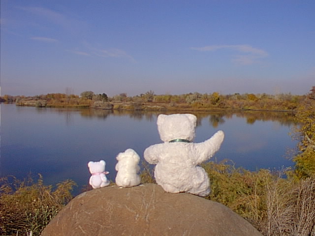 Bateman Island