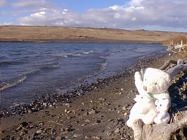 Crow Island