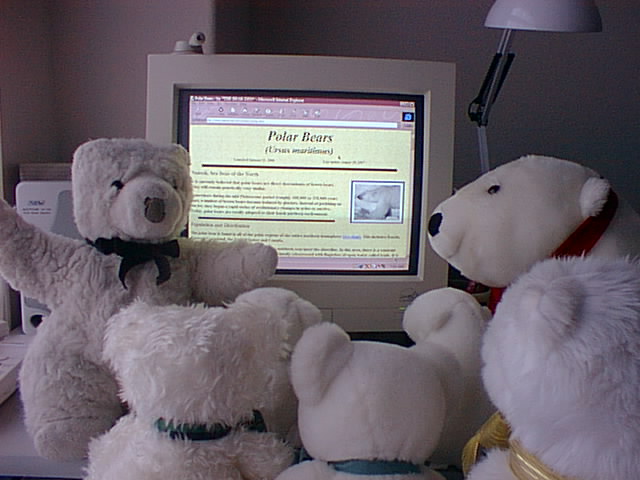 Ewer bears learn about polar bears